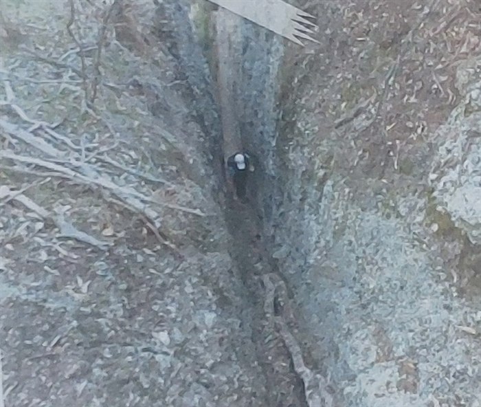Squeezing through the narrow rock crevice