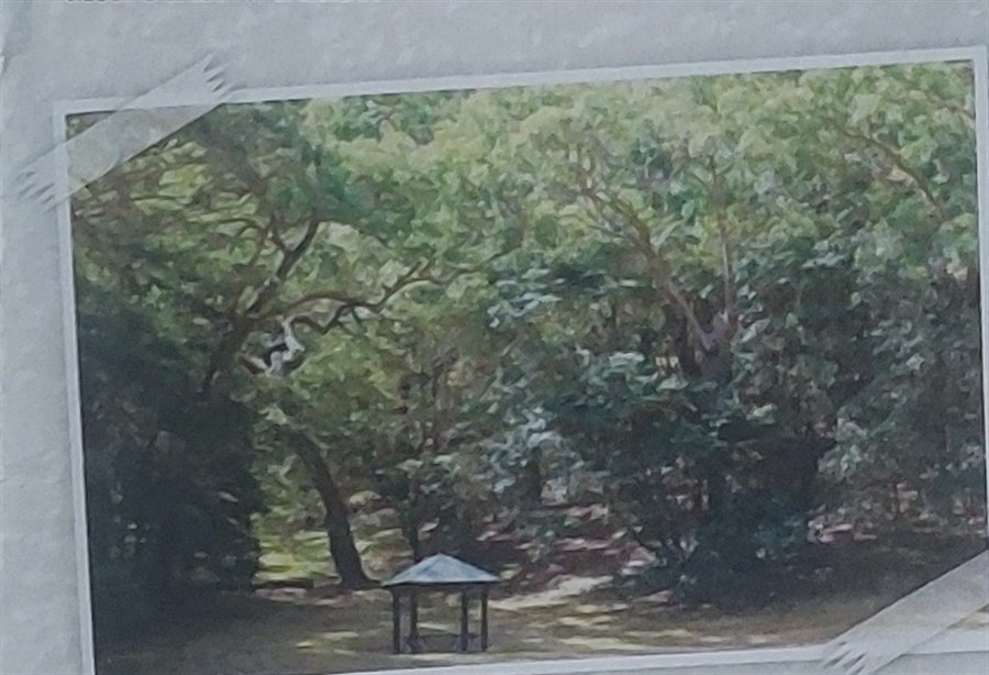 The picnic shelter at Paradise Park
